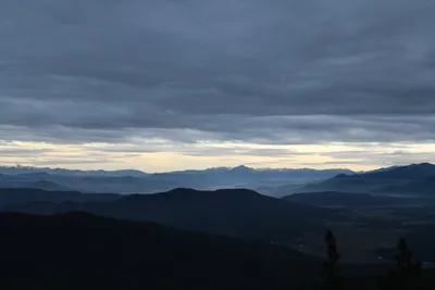 DSC_0130 (Large).JPG